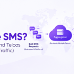 Wholesale SMS Routing Infographic